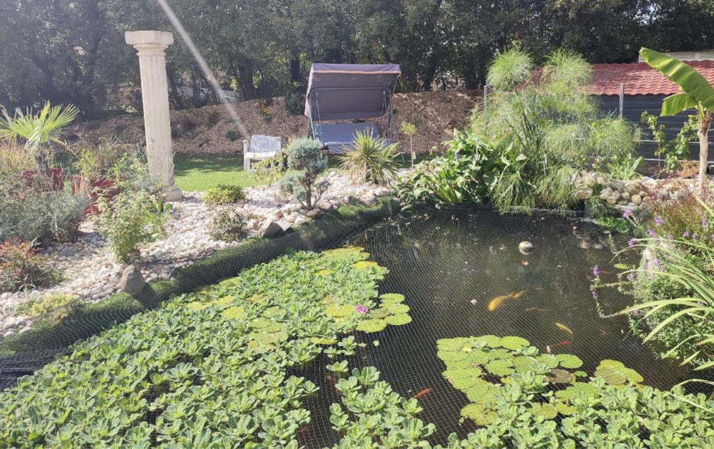 Espace d'eau aménagé au jardin VFE Paysage Niort Chauray Saint-Gelais